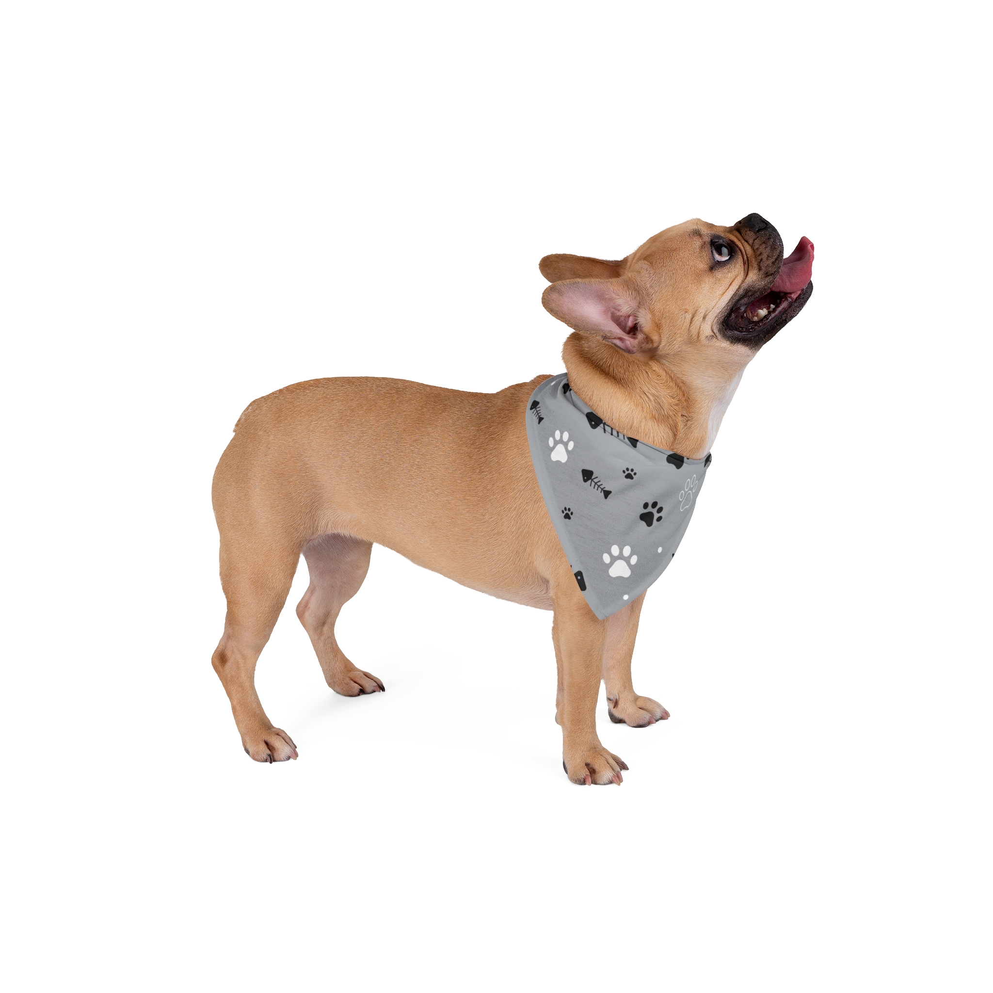 Gray Paw Print Pet Bandana - Fishbone & Paw Pattern Dog Scarf - Image 2